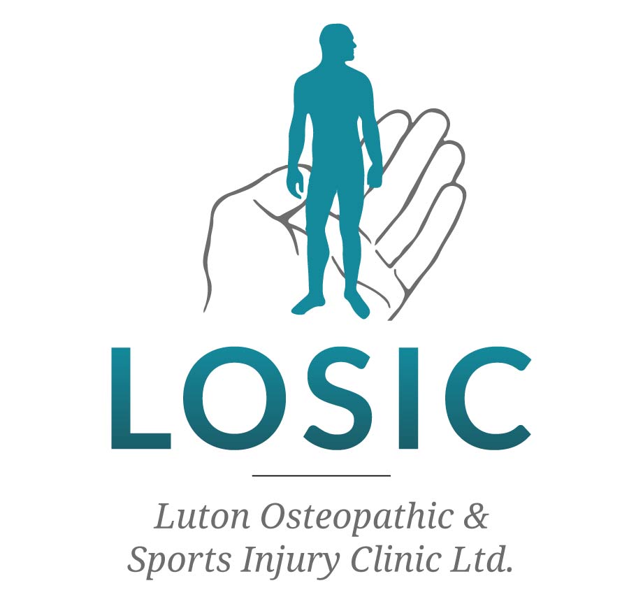 Losic Logo